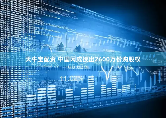 天牛宝配资 中国网成授出2600万份购股权