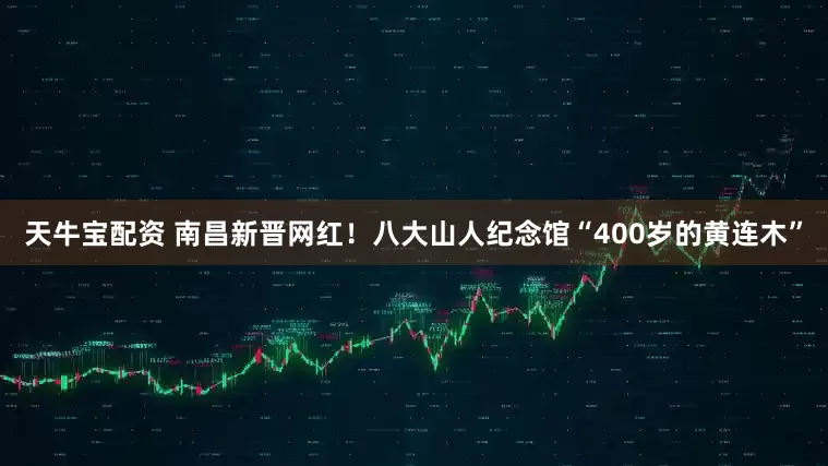 天牛宝配资 南昌新晋网红！八大山人纪念馆“400岁的黄连木”