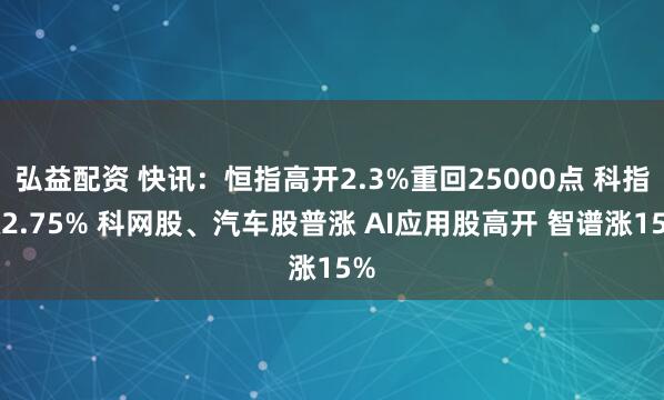 弘益配资 快讯：恒指高开2.3%重回25000点 科指涨2.75% 科网股、汽车股普涨 AI应用股高开 智谱涨15%